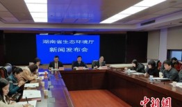 湖南工厂爆料案件最新情况,真相逐步浮出水面